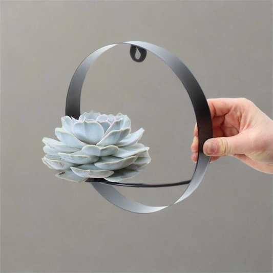 ROOTLESS op Muurdeco standaard zwart Ø20 cm - ↕20 cm