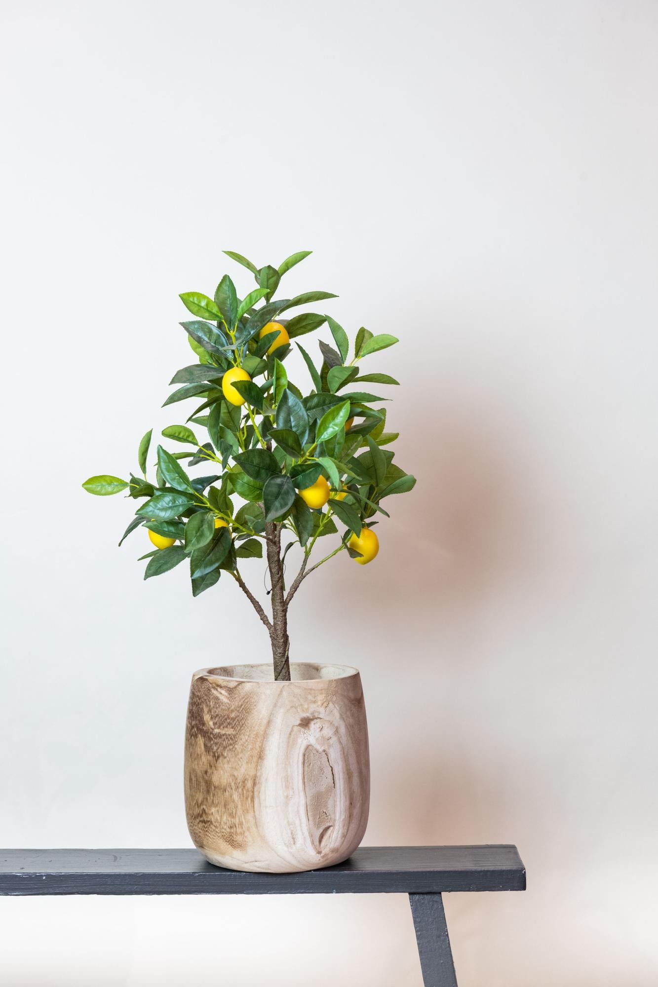Kunstplant - Citrus Limonia - 75 cm