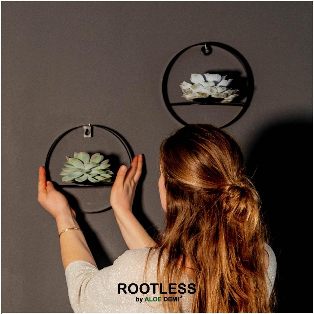 ROOTLESS op Muurdeco standaard zwart Ø20 cm - ↕20 cm
