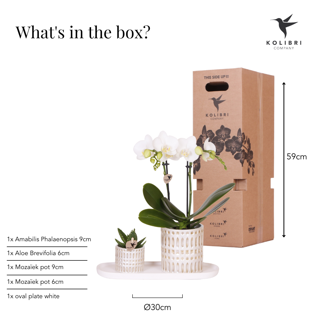 Plantenset Le Chic small