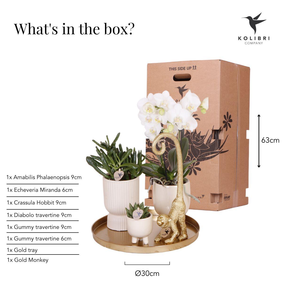 Gift set Luxury Living