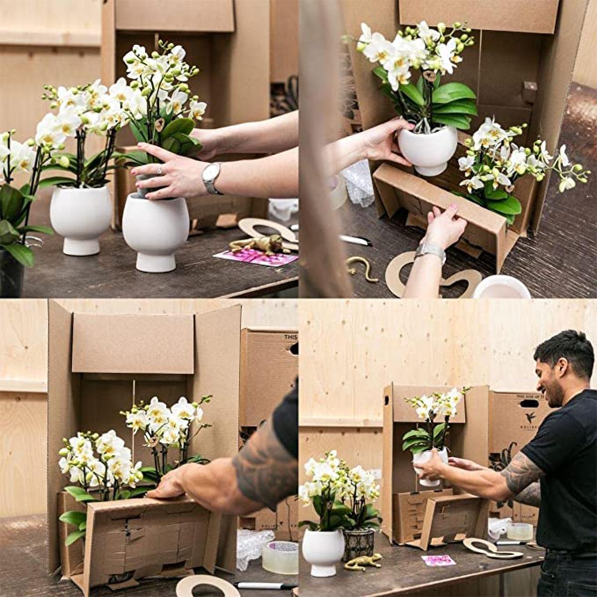 Succulenten set van 2 planten in zilveren Le Chic sierpotten