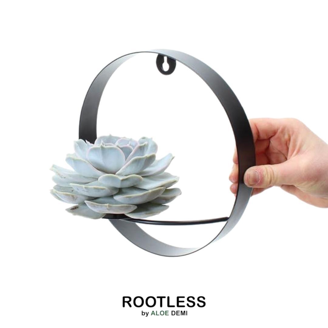 ROOTLESS op Muurdeco standaard zwart Ø20 cm - ↕20 cm