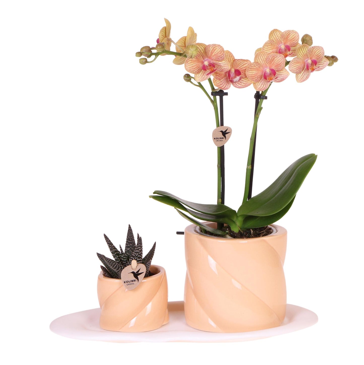 Gift set Optimism small peach
