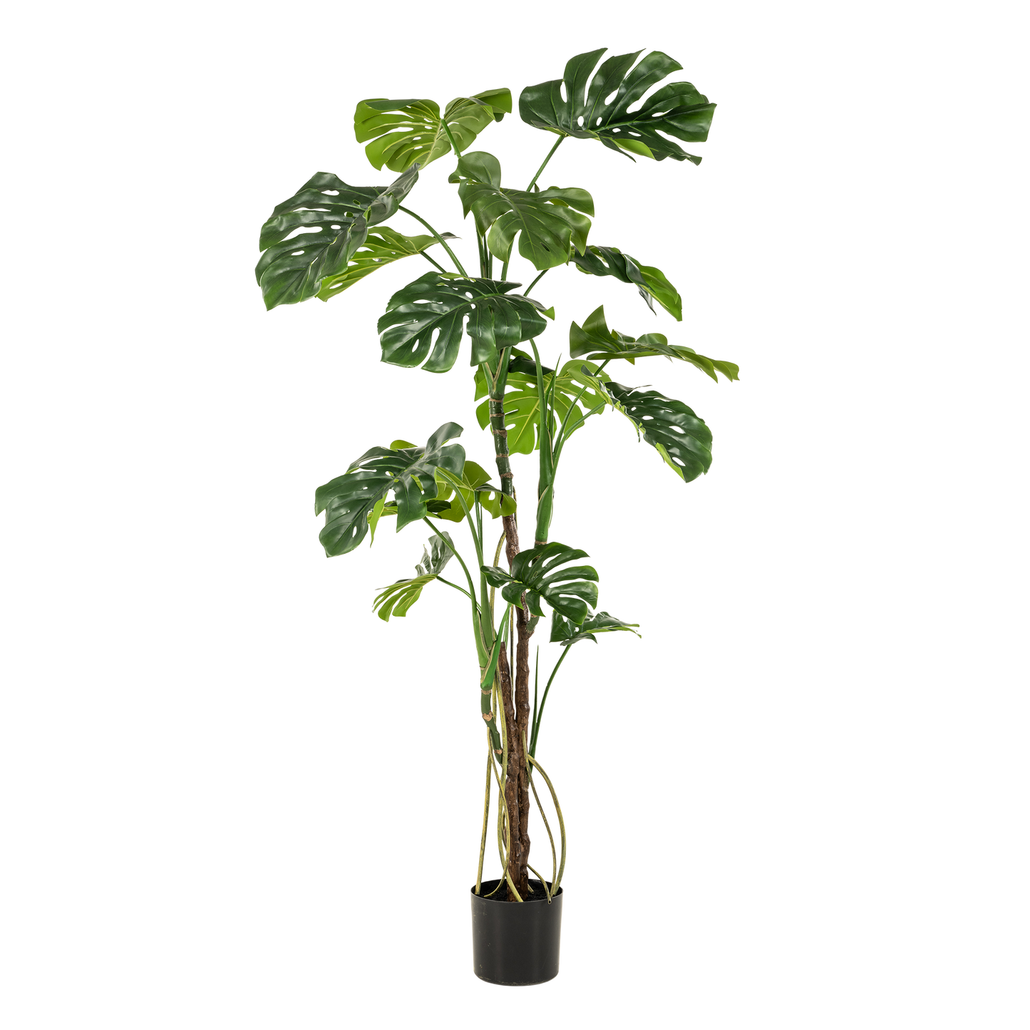kunstplant - Monstera - Gatenplant - 180cm