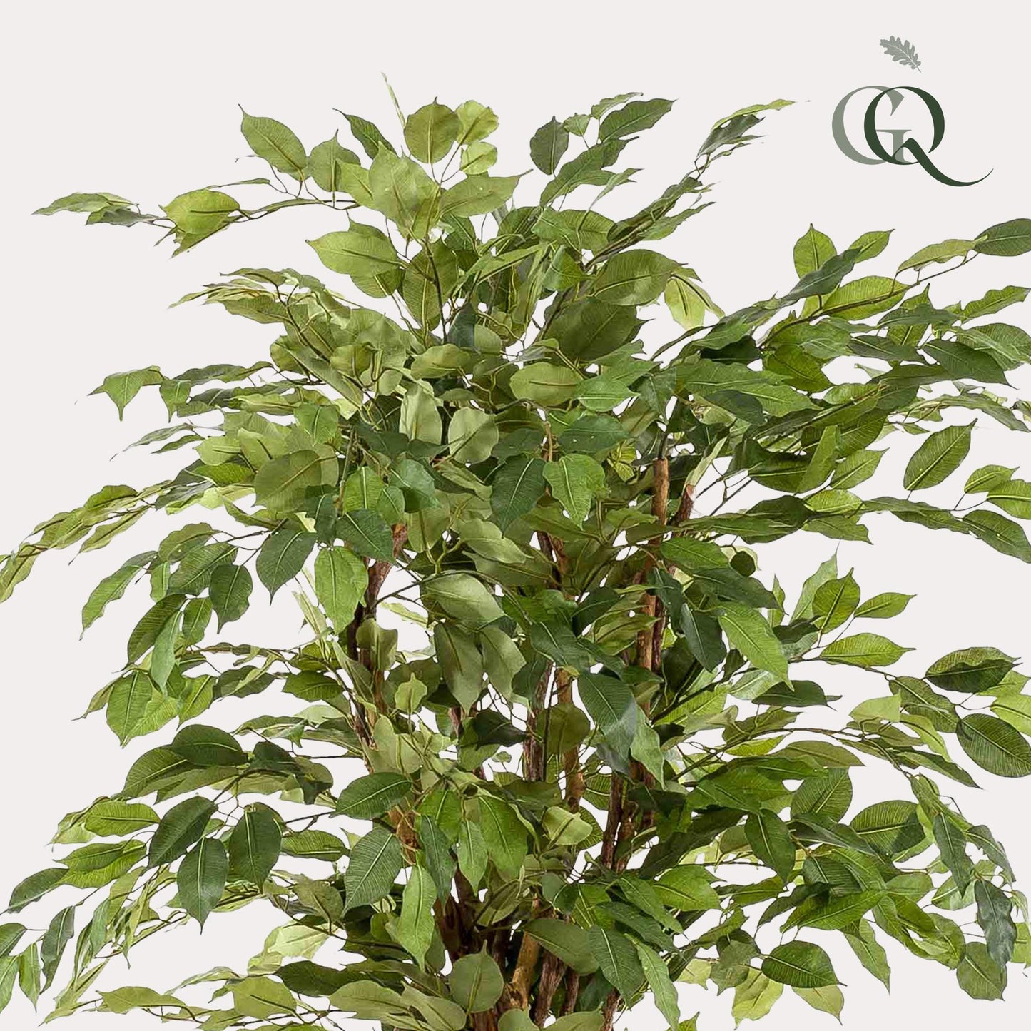 kunstplant - Ficus liana - 170cm