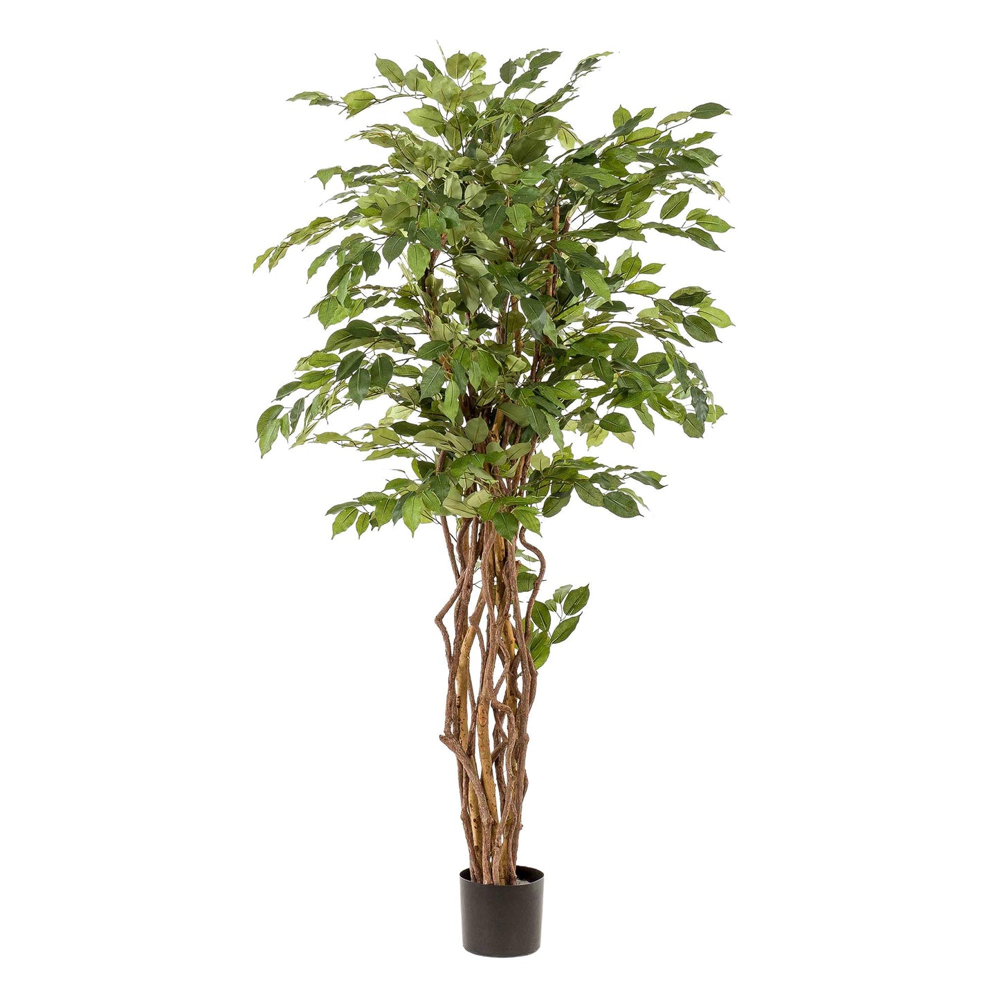 kunstplant - Ficus liana - 170cm