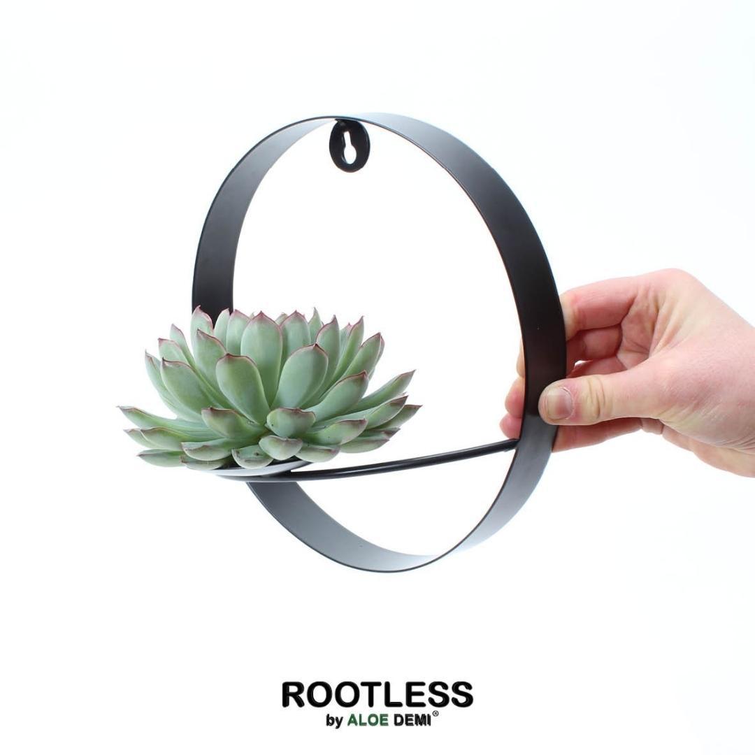 ROOTLESS op Muurdeco standaard zwart Ø20 cm - ↕20 cm