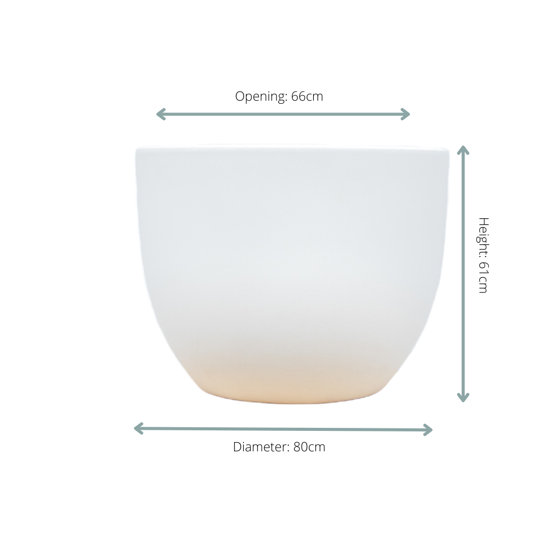 Pot Eggy Wit - D80 x H61