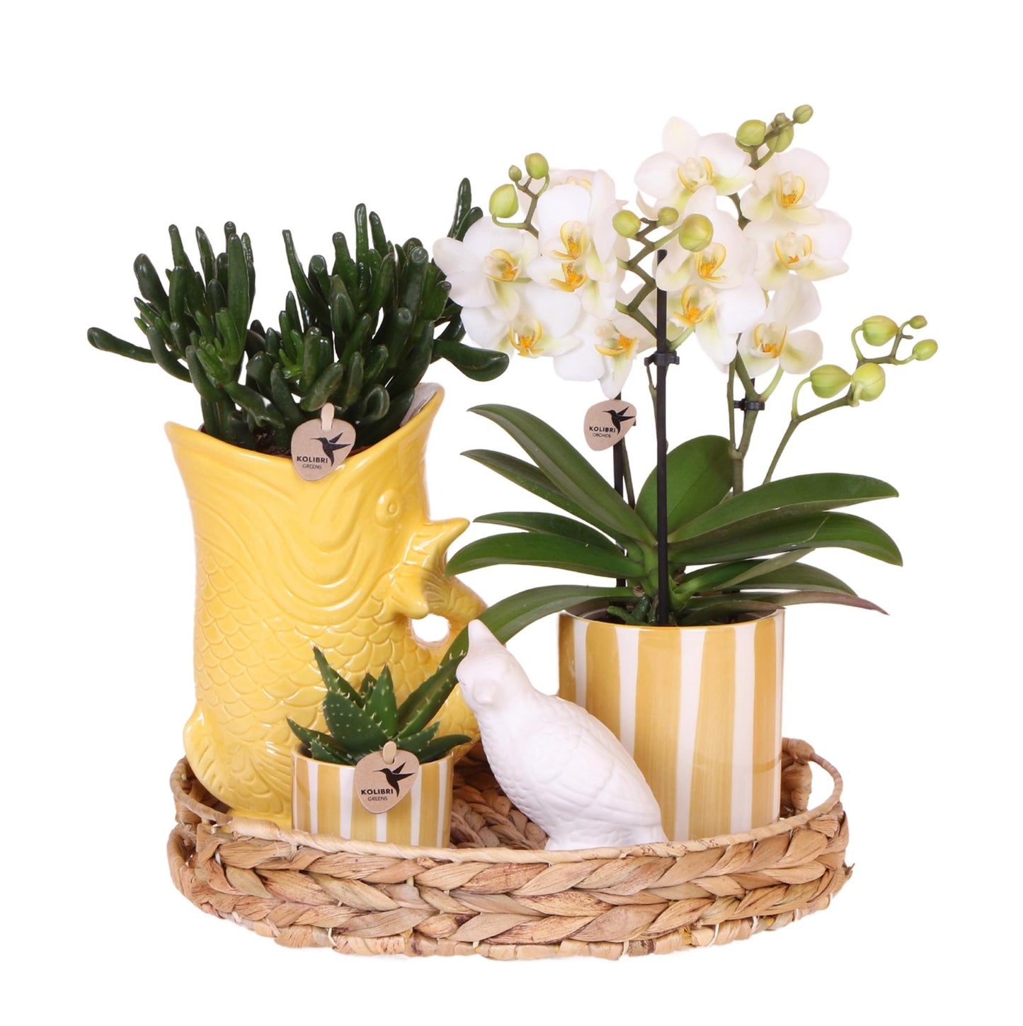 Gift set Mediterranean Sunset