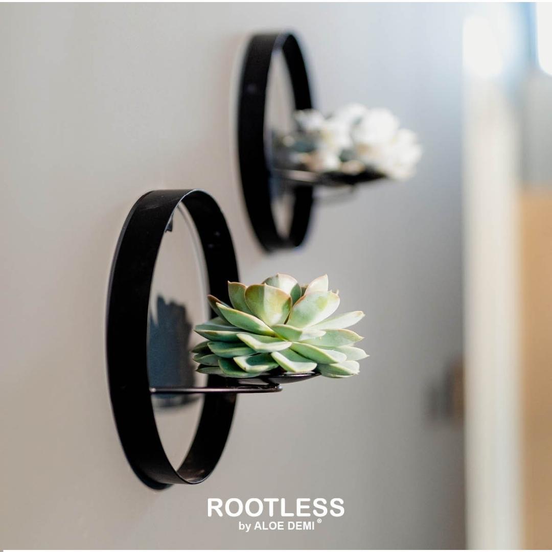 ROOTLESS op Muurdeco standaard zwart Ø20 cm - ↕20 cm
