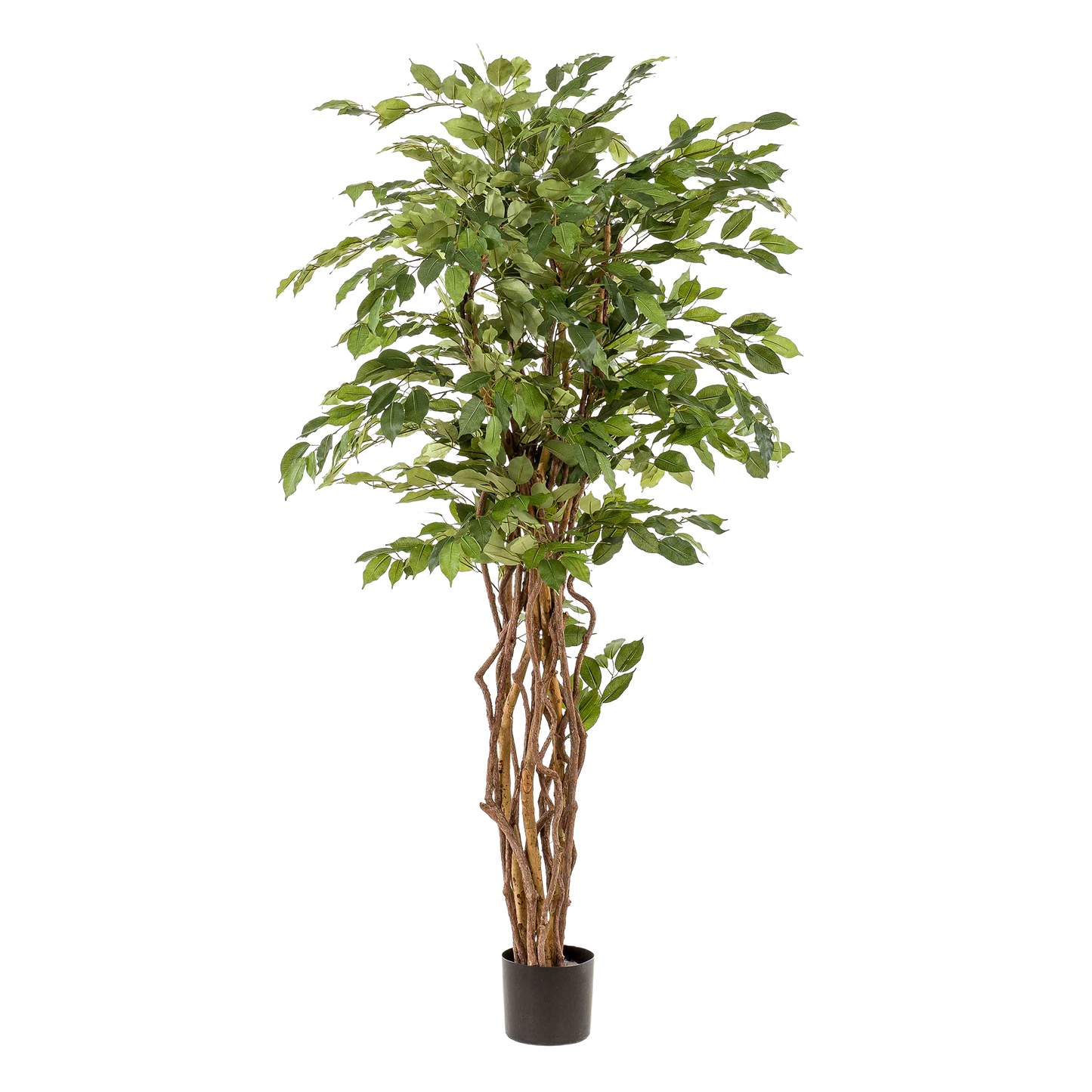 kunstplant - Ficus liana - 170cm