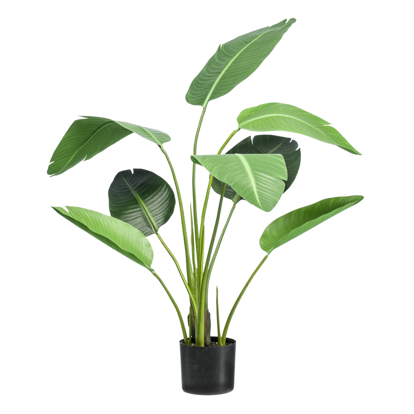 Kunstplant - Strelitzia nicolai - 120cm