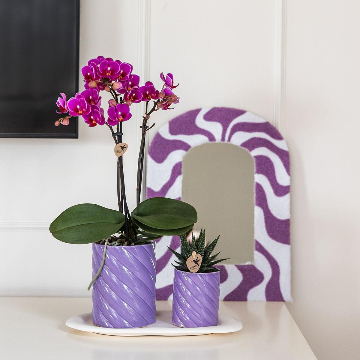 Gift set Optimism small