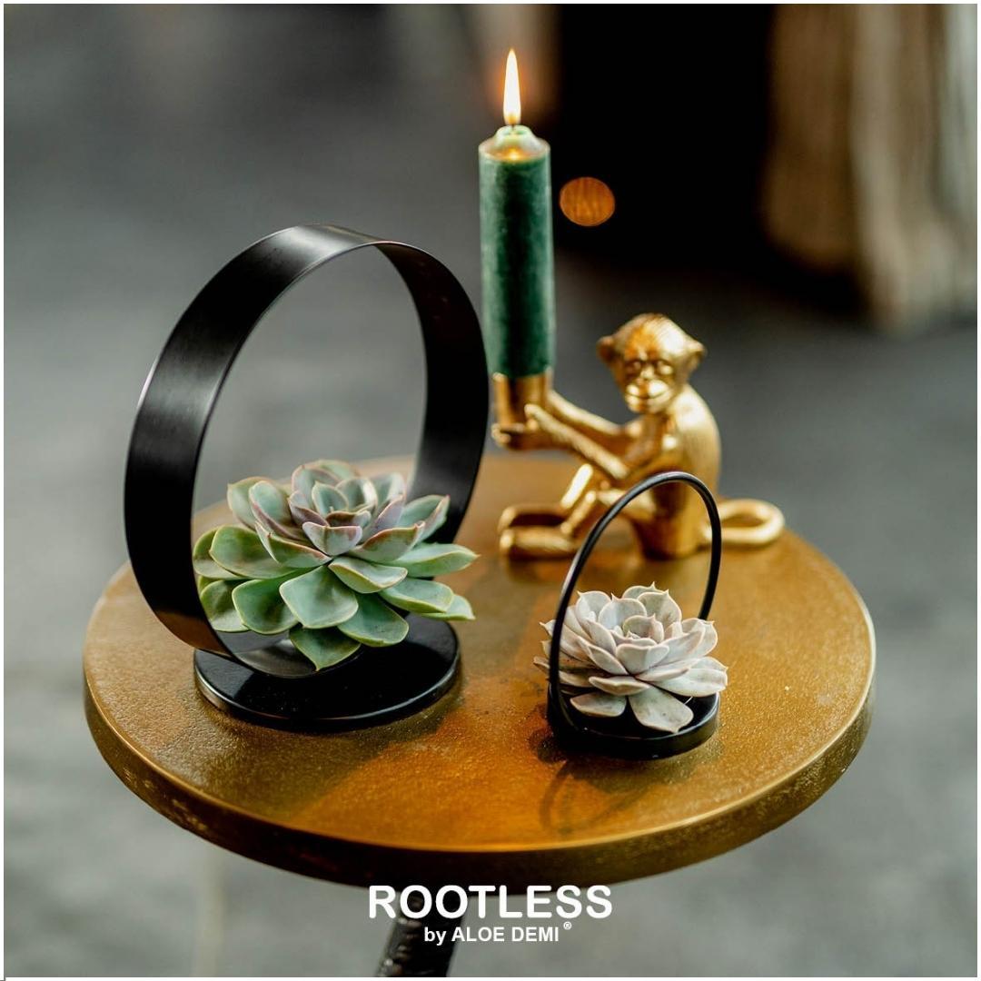 ROOTLESS op Deco tafelstandaard Ø20 cm - ↕20 cm