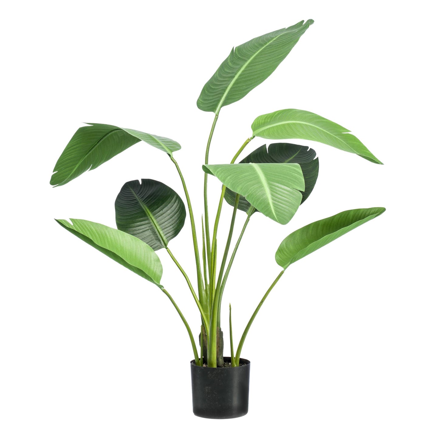 Kunstplant - Strelitzia nicolai - 120cm
