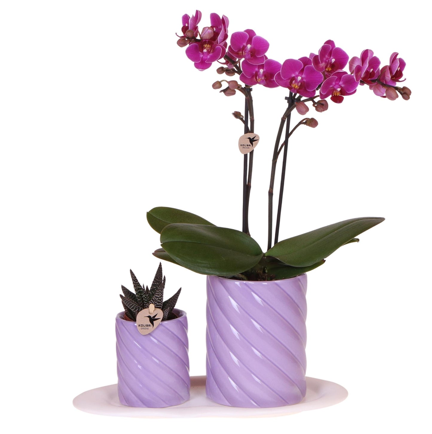 Gift set Optimism small