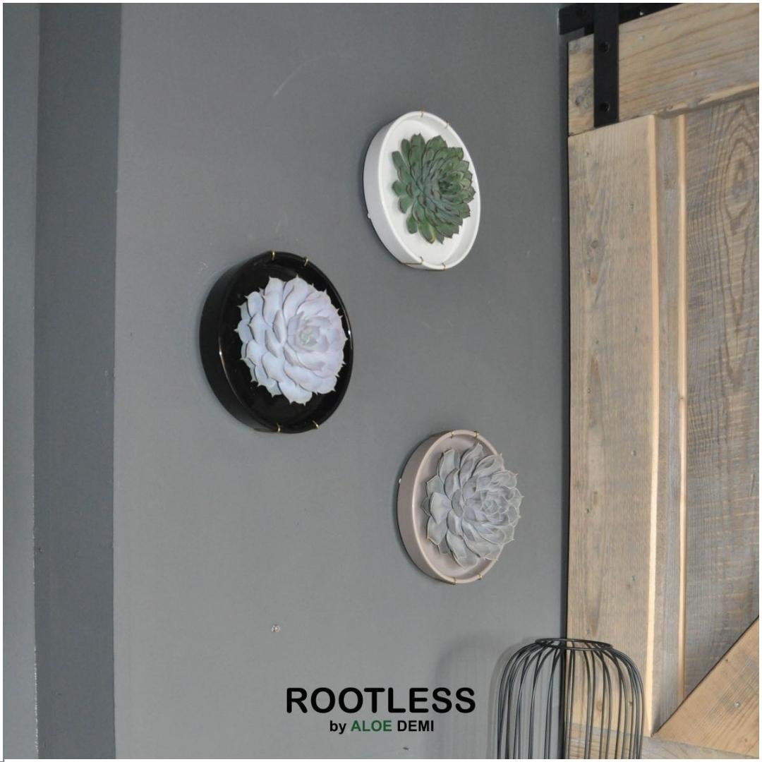 ROOTLESS in schaal 'zwart' Ø20 cm - ↕5 cm