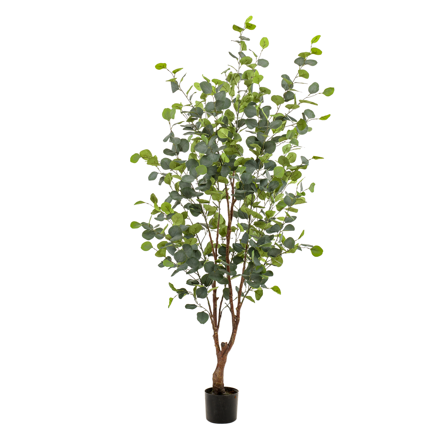 Kunstplant - Eucalyptus - Blauwe Gomboom - 140 cm