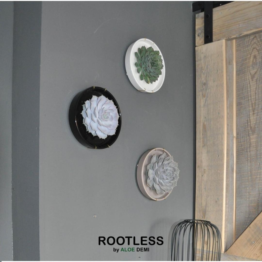 ROOTLESS in schaal 'zwart' Ø20 cm - ↕5 cm