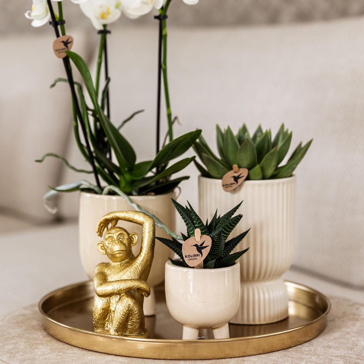 Gift set Luxury Living
