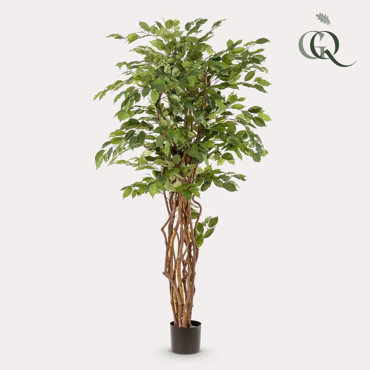 kunstplant - Ficus liana - 170cm