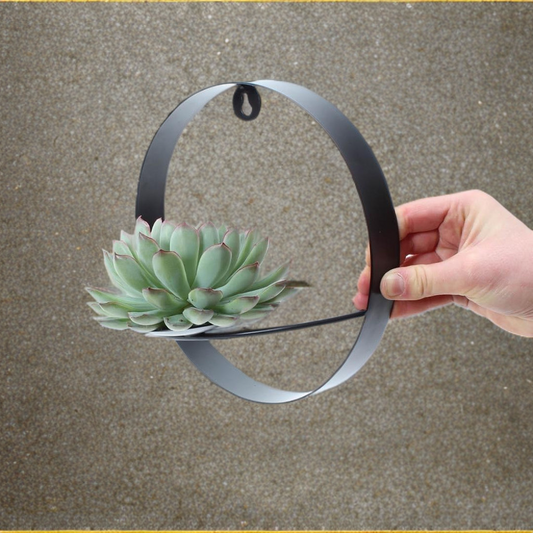 ROOTLESS op Muurdeco standaard zwart Ø20 cm - ↕20 cm