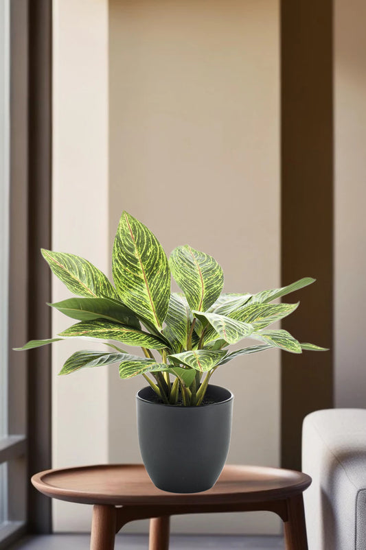 Kunstplant - Croton Codiaeum - Wonderstruik - 38 cm