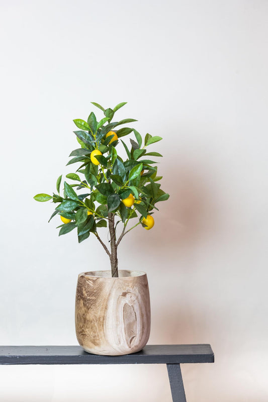 Kunstplant - Citrus Limonia - 75 cm