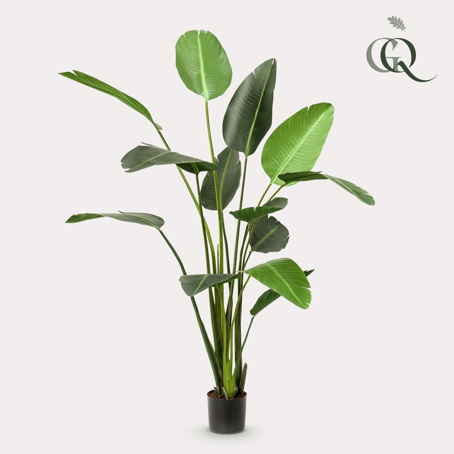 Kunstplant - Strelitzia Nicolai - 230cm