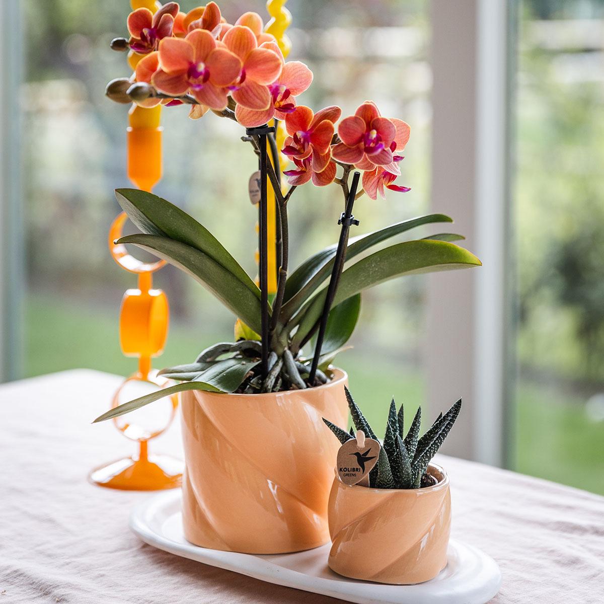 Gift set Optimism small peach