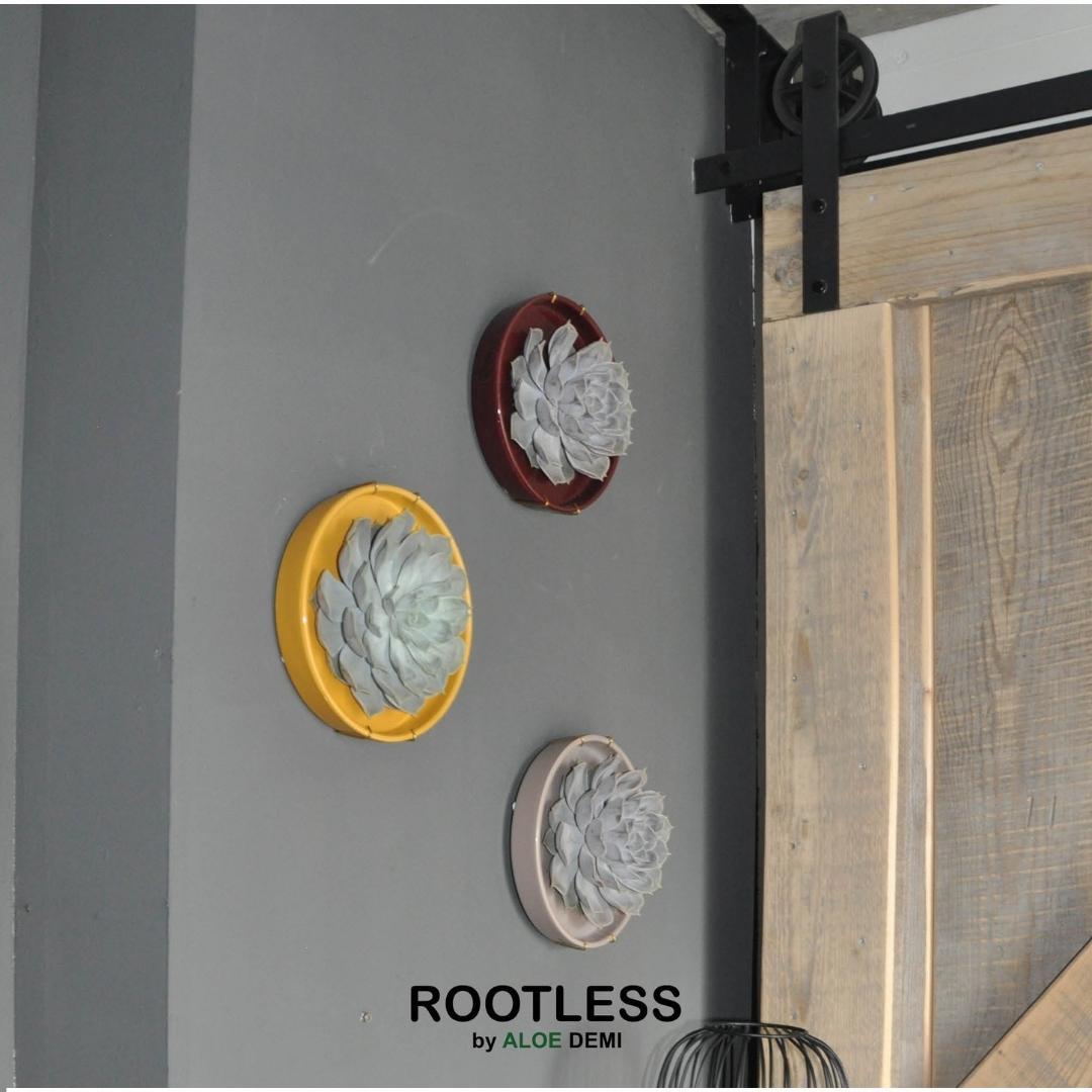 ROOTLESS in schaal 'taupe' Ø20 cm - ↕5 cm