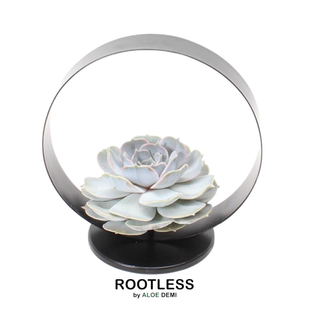 ROOTLESS op Deco tafelstandaard Ø20 cm - ↕20 cm