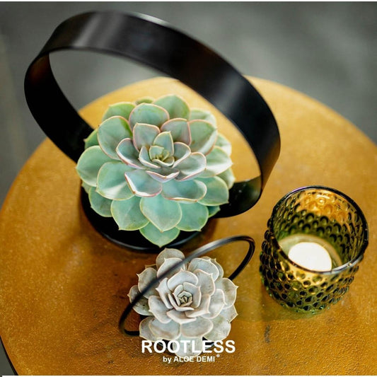 ROOTLESS op Deco tafelstandaard Ø20 cm - ↕20 cm