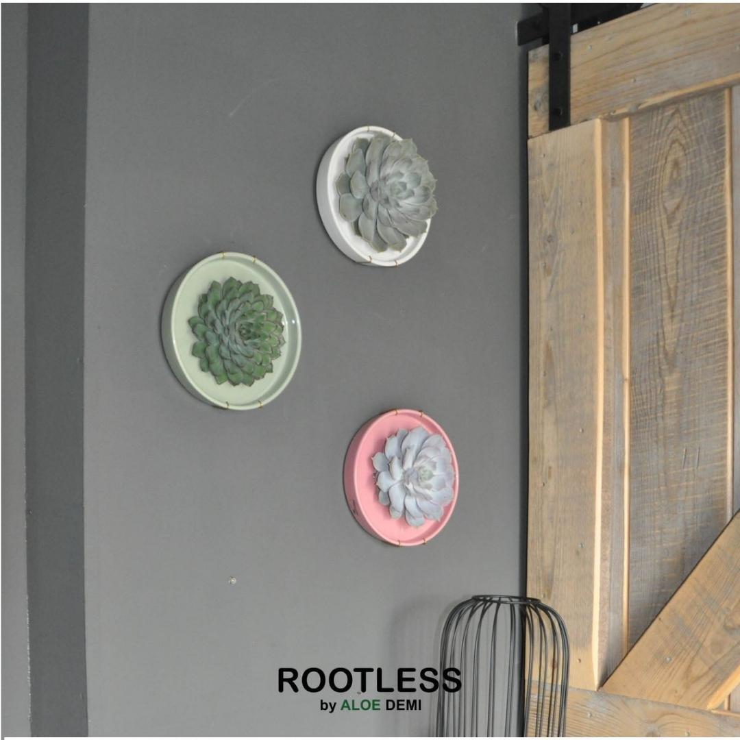 ROOTLESS in schaal 'roze' Ø20 cm - ↕5 cm
